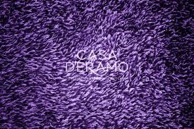 purple carpet casa d eramo
