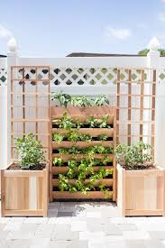 Project Diy Vertical Pizza Garden