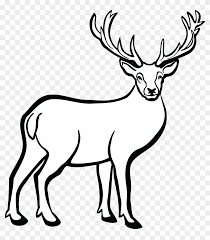 944 free images of reindeer. Clipart Of Deer Black And White Clipartxtras Deer Black And White Free Transparent Png Clipart Images Download
