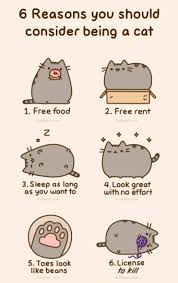 I Am Pusheen The Cat By Claire Belton