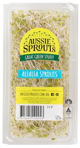 alfalfa sprouts aussie sprouts