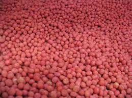 Ag Phd Information For Agriculture Soybean Seed Treatments