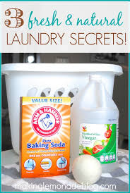 3 all natural laundry tips eco