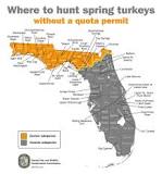 where-can-you-hunt-turkeys-in-florida
