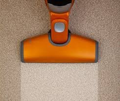 triton carpet upholstery care