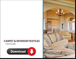 carpet and textiles care guide and tips