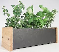 Window Herb And Flower Planter Box