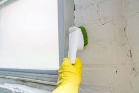 Scrub The Mold Off Your Basement Walls