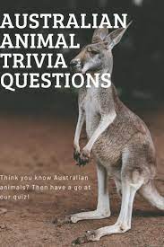 Questions and answers about folic acid, neural tube defects, folate, food fortification, and blood folate concentration. Australian Animal Quiz Australian Animals Animal Quiz Animals