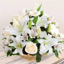 We did not find results for: White Flower Basket Flowers Sarah S Flowers Your Friendly Florist 1300 448 335
