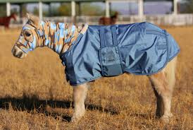 Eous Lightweight Foal Mini Blanket Equisupplies Llc