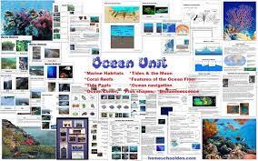 ocean unit packet marine habitats