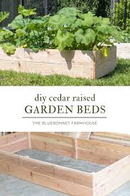 Inexpensive Cedar Raised Garden Beds
