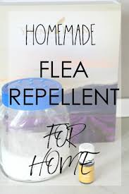 the ultimate flea repellent for home