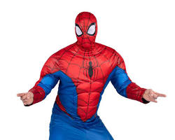 SpiderMan Halloween costume