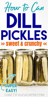 easy canned dill pickle recipe sweet