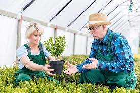 easy planting tips for seniors in an