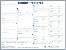 Rabbit Pedigree Chart Tool For Making Pedigrees Rabbit