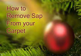 how to remove sap from carpet carter