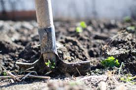 Waterlogged Garden That Has Clay Soil