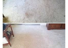 sterling carpet care in reno