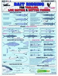 Tightline Publications Br 1 Fishermans Bait Rigging Chart