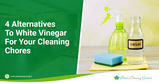 white vinegar for your cleaning cs