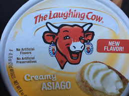 the laughing cow creamy asiago