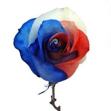 Get ftd® flower delivery today! Patriotic Rainbow Roses Red White And Blue Diy Wedding Roses Fiftyflowers