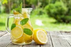 How Long Does Homemade Lemonade Stay Good in the ...