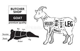 Butcher Diagram Goat Stock Illustrations 29 Butcher