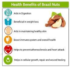 trading brazil nuts from bolivian amazon