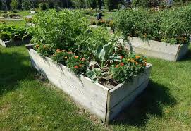 Garden Share Program Helps Feed Seniors