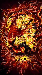 fire lion hd wallpapers pxfuel