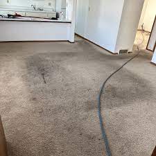 top 10 best professional clean carpets