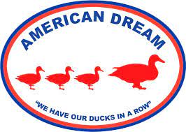 reviews for american dream carpet cleaning