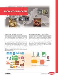 lallemand ion process info sheet
