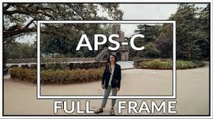 full frame vs aps c puedes encontrar