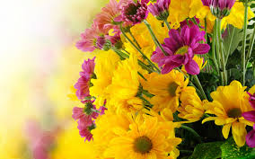 beautiful flowers bouquet with yellow
