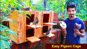 make pigeon cage at home using wood