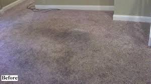 carpet cleaning south bend