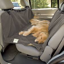 Travel Tips Car Gear For Your Dog