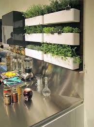 Diy Indoor Herbs Garden Ideas Erbe