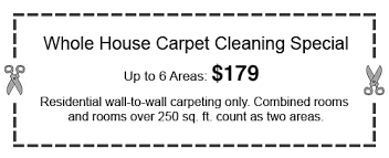 specials quality carpet cleaning 800