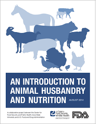 husbandry and nutrition