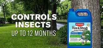 12 month tree shrub insect control