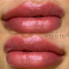 lip blushing vs lip correction vs