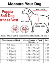 Kong Dog Harness Size Chart Bedowntowndaytona Com