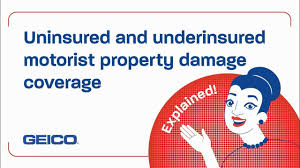 However, some discounts only apply to specific coverages, like medical or. Geico Car Insurance Review Rates Coverage More