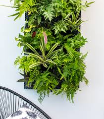 Greenwall Vertical Gardening Holman